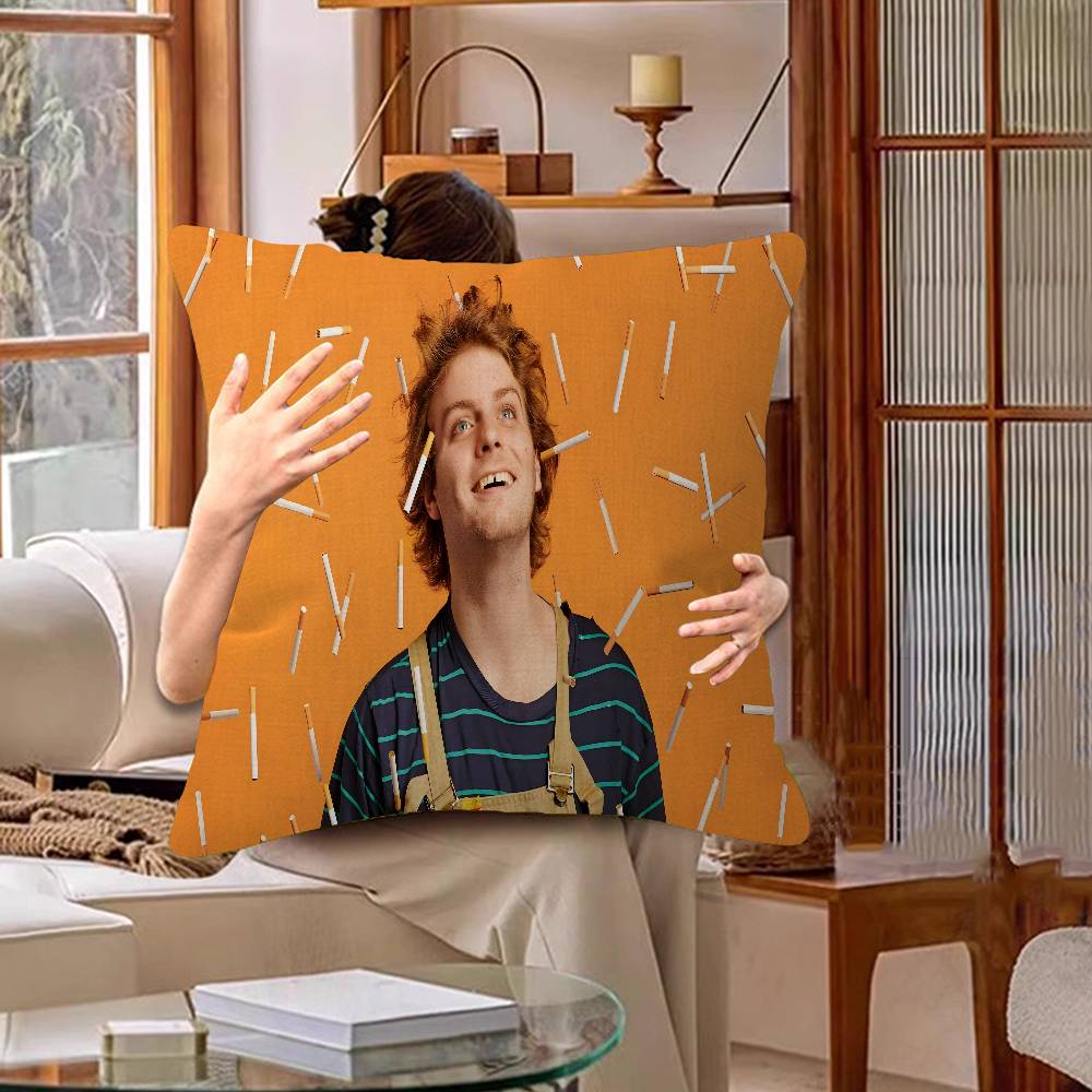 Singer Mac DeMarco Pillow Cove - Home Textiles Designer avis et prix