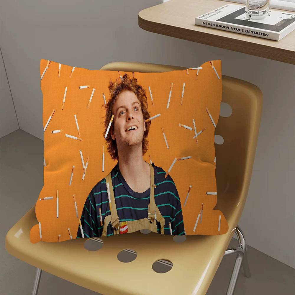 Singer Mac DeMarco Pillow Cove - Home Textiles Designer avis et prix